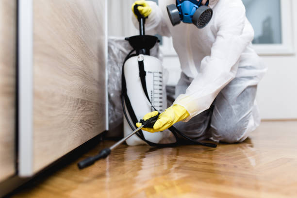 Reliable Temple, GA Pest Control Solutions
