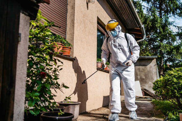 Best Pest Inspection Near Me  in Temple, GA