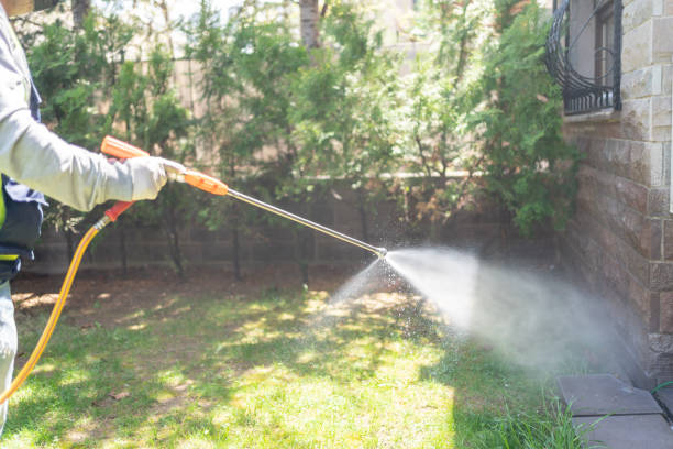 Best Spider Control Near Me  in Temple, GA