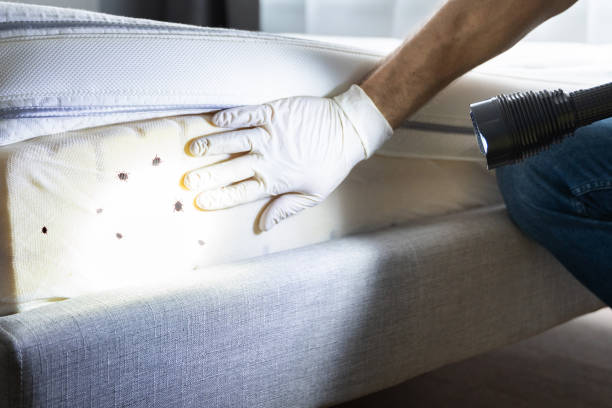 Best Wildlife Control Services  in Temple, GA