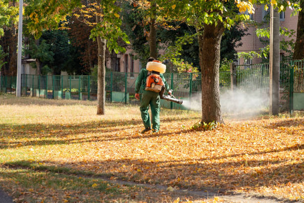 Best Pest Removal Services  in Temple, GA